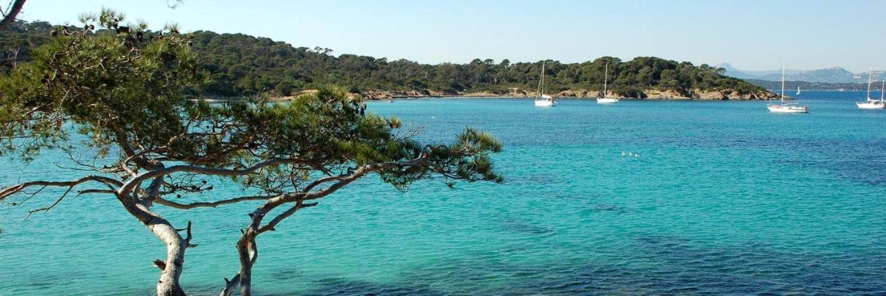 Spacieux Studio Sur Le Port De Hyeres Bagian luar foto